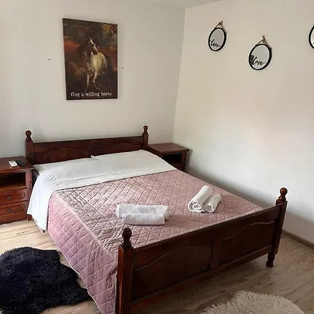 Casuta Galbena Сasa de vacaciones *